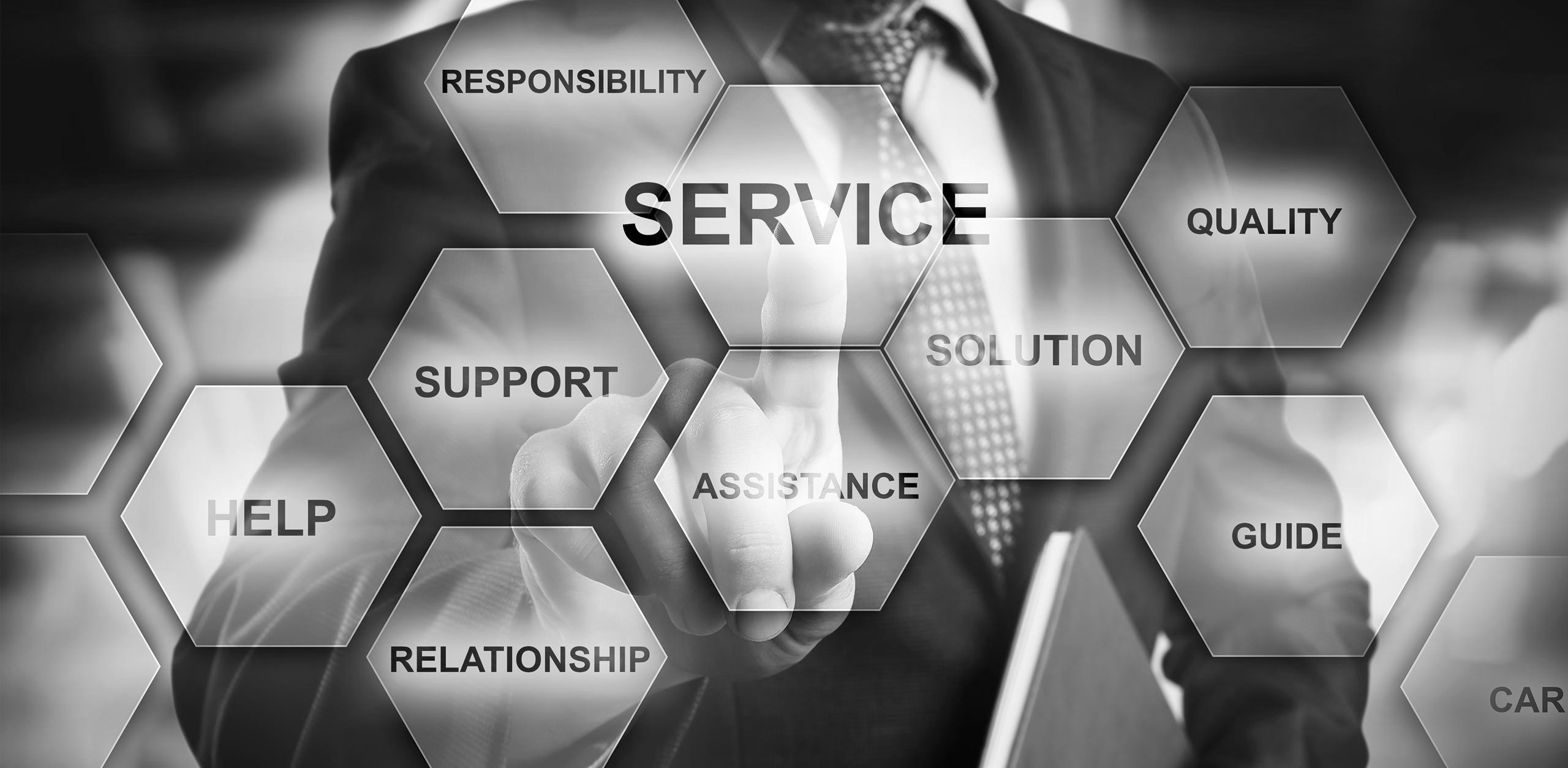 Our Expertise
